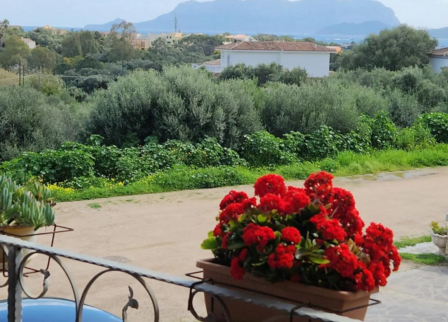 Apartamento Casa Vacanza Corallo Pittulongu Olbia Itália